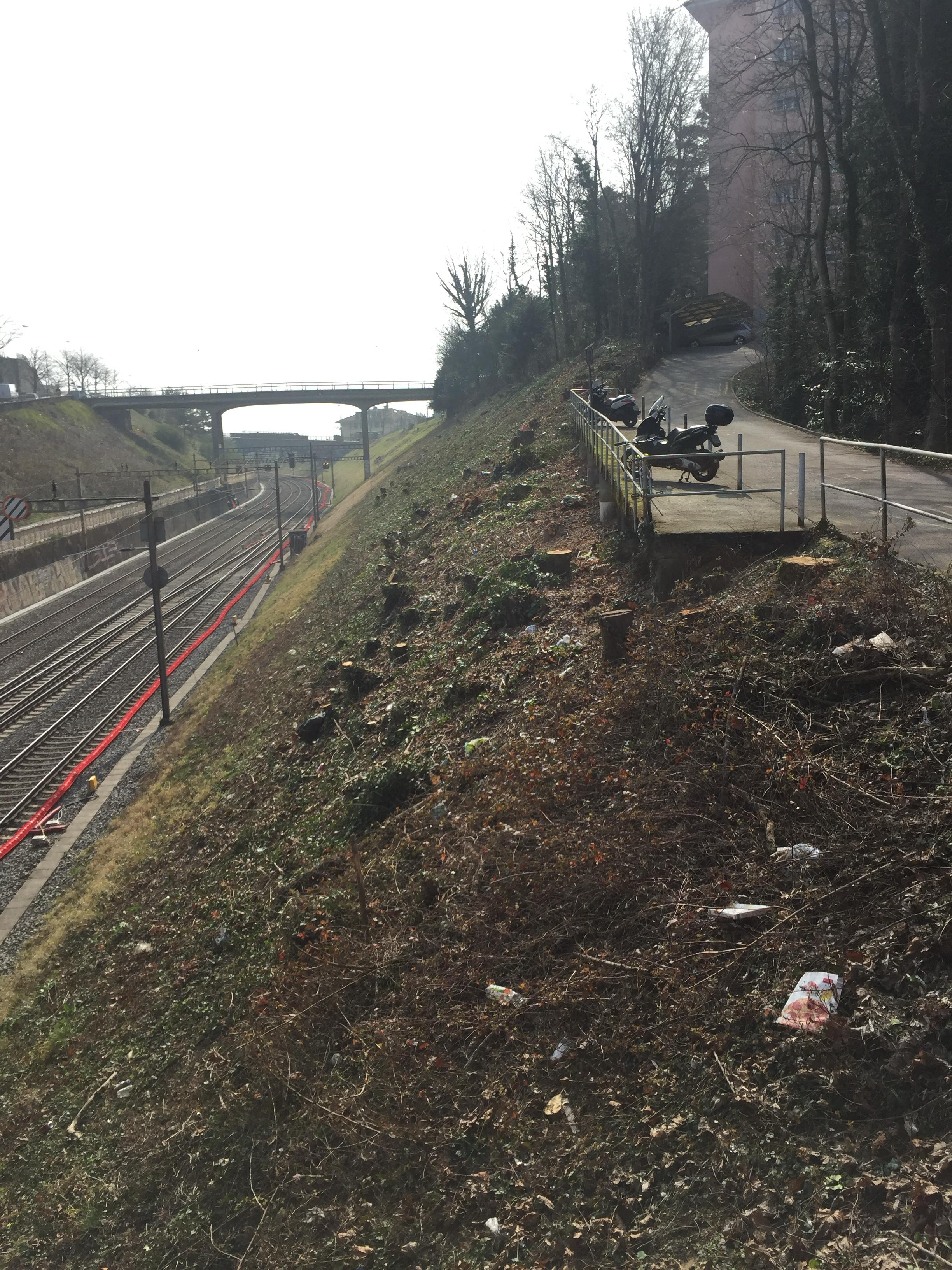 Abattage d'arbre près de lignes aériennes — SAS POLYVIER Jura